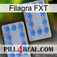 Filagra FXT 20